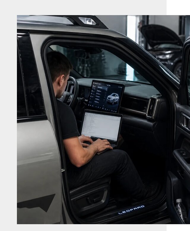 Русификация BYD Leopard 3 в Гулькевичах по цене от 20644 р. | ФастМобиль-Гль